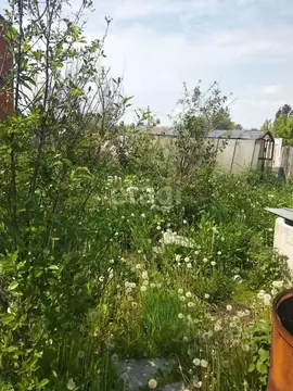 Дом в Тюменская область, Тюмень Нефтяник СНТ, ул. Дружбы (33 м)