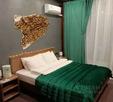 1-к кв. Челябинская область, Миасский городской округ, с. Сыростан ул. ...