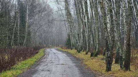 Участок, 6 сот., поселения (ижс)