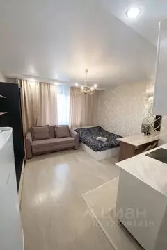 Студия Московская область, Домодедово Южный мкр, ул. Курыжова, 14 ...