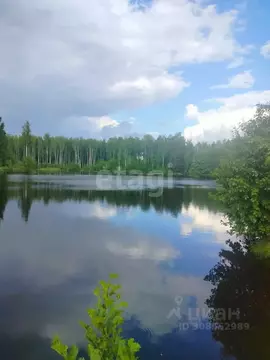 Дом в Брянская область, Брянский район, Нетьинское с/пос, Березовая ...