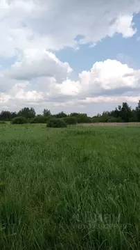 Участок в Московская область, Егорьевск муниципальный округ, д. ...