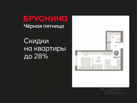 Студия Свердловская область, Екатеринбург пер. Торфяной, 4 (32.2 м)