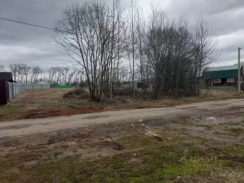 Участок в Нижегородская область, Богородский муниципальный округ, ...