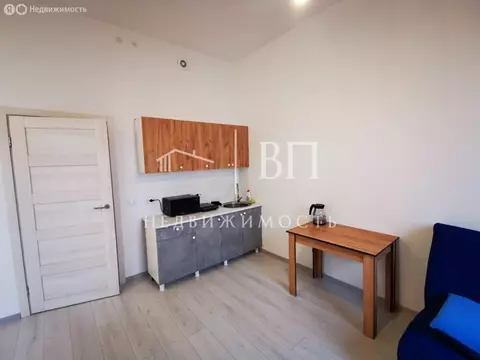 Квартира-студия: Санкт-Петербург, Орбитальная улица, 9к1 (23.8 м)