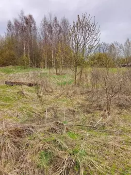Участок в Ленинградская область, Тихвинский район, Мелегежское с/пос, ...