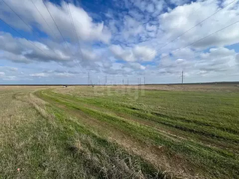 Участок в Крым, Ленинский район А-291, 56-й км (60.0 сот.)