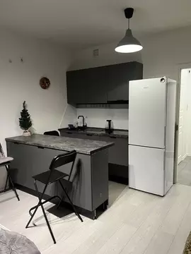 Студия Санкт-Петербург Студенческая ул., 24к1 (27.0 м)