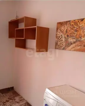 Студия Алтайский край, Барнаул ул. Эмилии Алексеевой, 5к2 (12.5 м)
