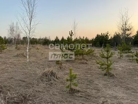 Участок в Воронежская область, Рамонский район, Новоживотинновское ...