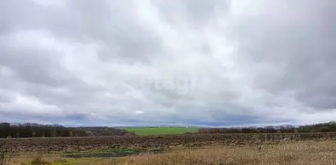 Участок в Курская область, Курск ул. Чудесная (10.0 сот.)