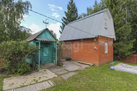 Дом в Омская область, Омский район, Новоомское с/пос, Шинник СНТ  (40 ...