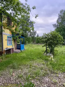 Участок в Амурская область, Благовещенский район, Скальпель СТ ул. ...