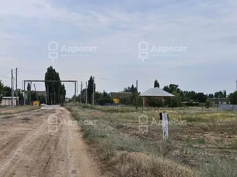 Участок в Волгоградская область, Среднеахтубинский район, Рахинское ...