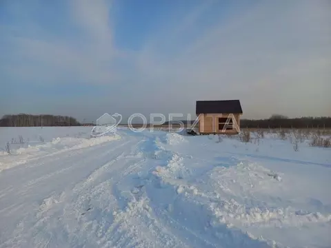 Участок в Тюменская область, Тюменский район, с. Горьковка  (5.0 сот.)