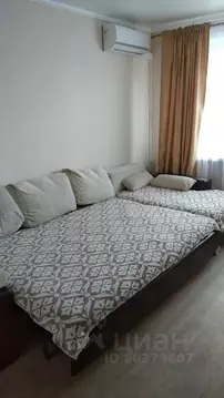 2-к кв. Алтайский край, Белокуриха ул. Академика Мясникова, 18 (48.0 ...