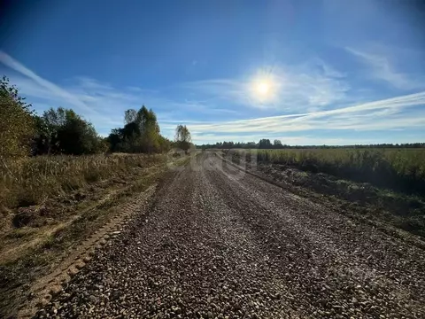 Участок в Костромская область, Красносельский район, Шолоховское ...
