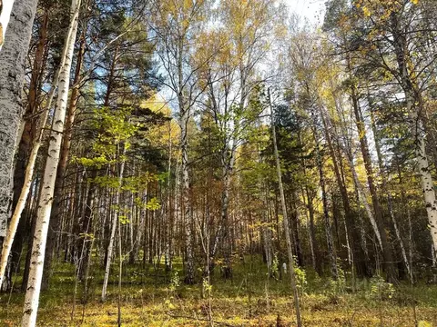 Участок в Свердловская область, Полевской муниципальный округ, пос. ...