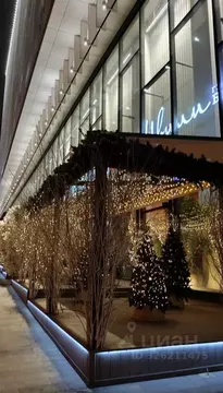 Студия Москва просп. Вернадского, 41С1 (14.0 м)