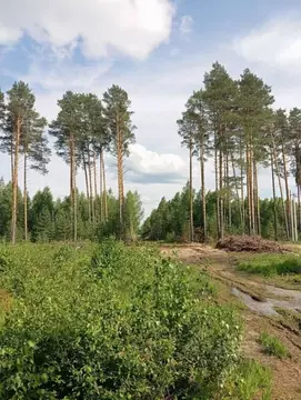 Участок в Владимирская область, Собинка ул. Уютная (10.0 сот.)