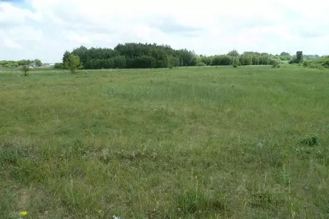 Участок в Воронежская область, Новоусманский район, Хреновское с/пос, ...