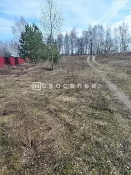 Участок в Рязанская область, Рязанский район, Мурминское с/пос, с. ...