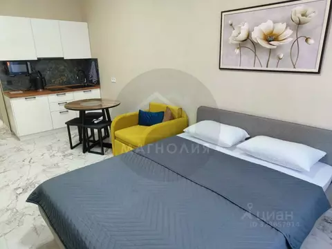 Студия Краснодарский край, Анапа проезд Межсанаторный, 19 (25.1 м)