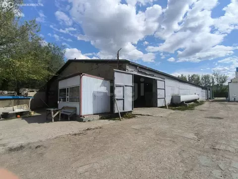 Производственное помещение (535 м)