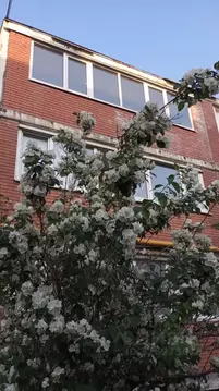 2-к кв. Самарская область, Самара Опытная станция по садоводству тер., ...