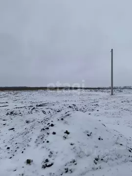 Участок в Белгородская область, Белгородский муниципальный округ, ...