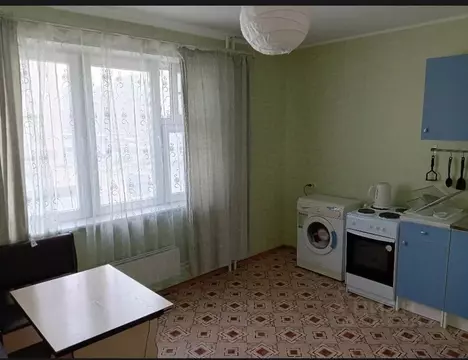 1-к кв. Новосибирская область, Новосибирск Березовая ул., 13 (36.0 м)