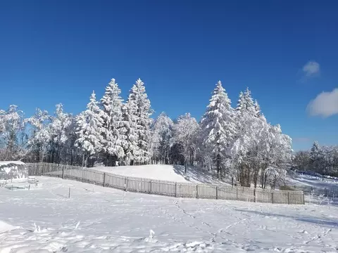 Участок в Ленинградская область, Волосовский район, Бегуницкое с/пос, ...