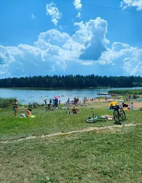 Участок в Ленинградская область, Лужский район, Скребловское с/пос, ...