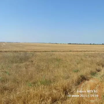 Участок в Крым, Сакский район, Лесновское с/пос  (6.7 сот.)