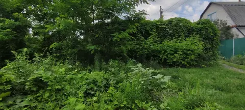 Участок в Воронежская область, Воронеж Память Мичурина СНТ, ул. ...