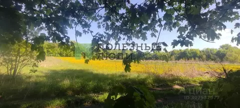 Участок в Орловская область, Орловский район, д. Булгаковы Горки  ...