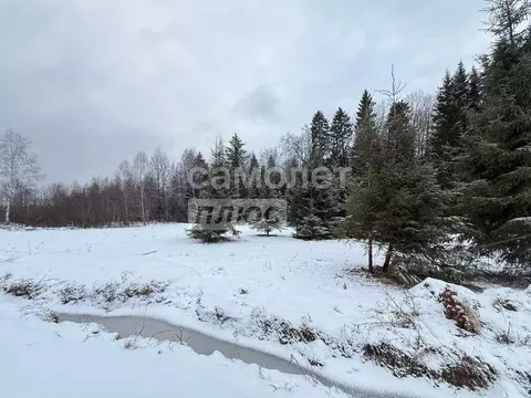 Участок в Московская область, Дмитровский муниципальный округ, д. ...