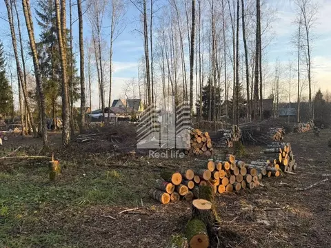 Участок в Московская область, Домодедово городской округ, д. Степыгино ...