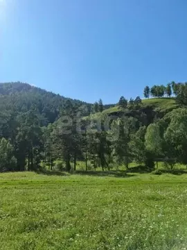 Участок в Алтай, Чемальский район, с. Бешпельтир  (840.0 сот.)