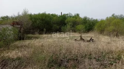Участок в Еврейская автономная область, Смидовичский район, пос. ...