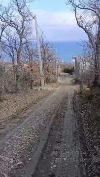 Участок в Ленинградская область, Гатчинский муниципальный округ, ...