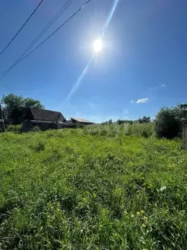 Участок в Алтай, Майминский район, с. Подгорное Набережная ул. (16.0 ...