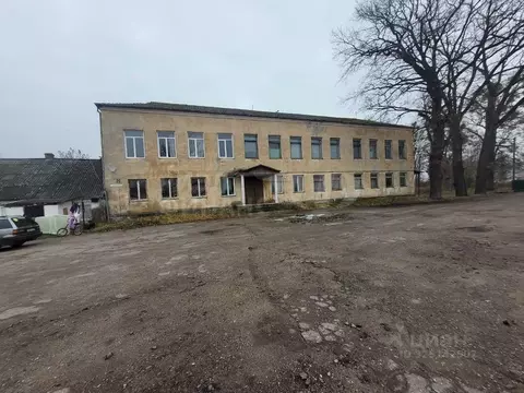 Помещение свободного назначения в Калининградская область, Правдинск ...