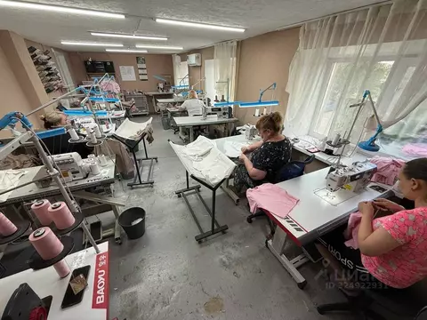 Помещение свободного назначения в Челябинская область, Челябинск ул. ...