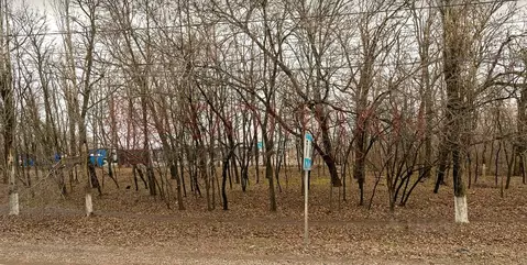 Участок в Ростовская область, Аксай ул. Авиаторов (300.0 сот.)