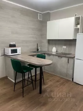 Студия Белгородская область, Старый Оскол Космос мкр, 11А (35.0 м)