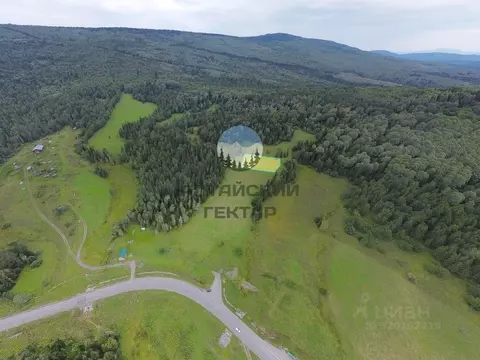 Участок в Алтай, Чойский район, Паспаульское с/пос, с. Сухой Карасук  ...