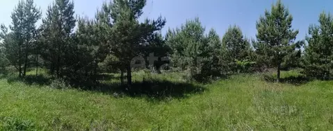 Участок в Липецкая область, Добровский муниципальный округ, с. ...