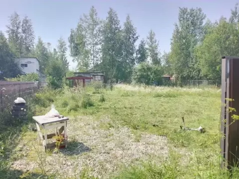 Участок в Вологодская область, Вологда Медик садоводческое ...