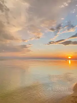 Участок в Крым, Сакский район, Молочненское с/пос, с. Витино ул. ...